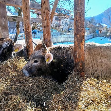 Koflhof Urlaub Auf Dem Bauernhof Villa อัลดีโน ภายนอก รูปภาพ