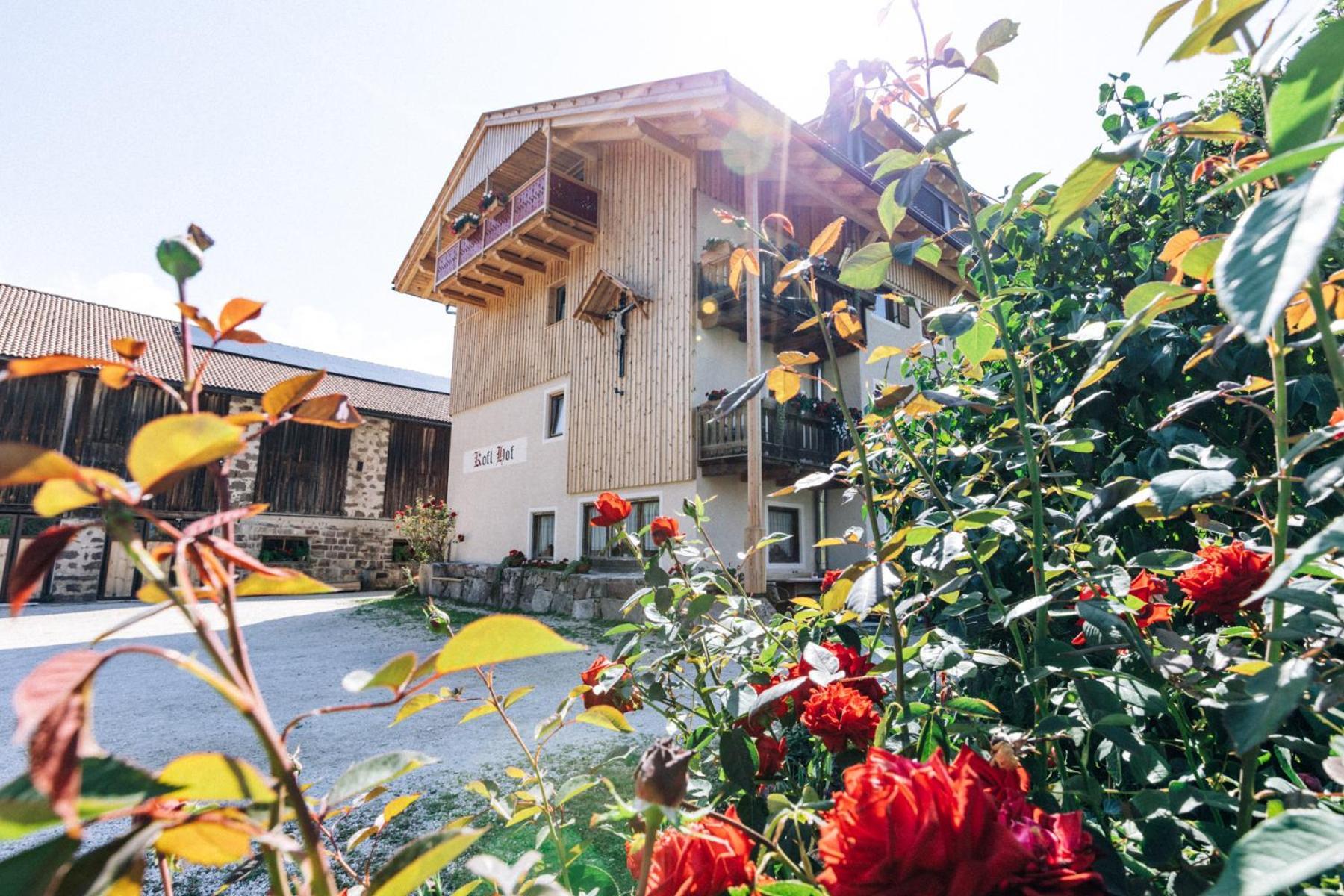 Koflhof Urlaub Auf Dem Bauernhof Villa อัลดีโน ภายนอก รูปภาพ